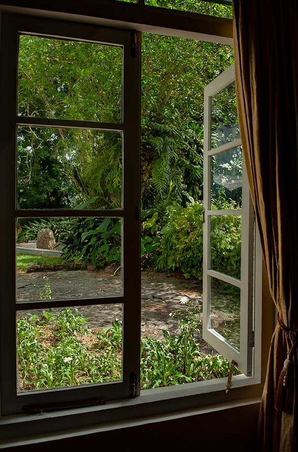 open window garden