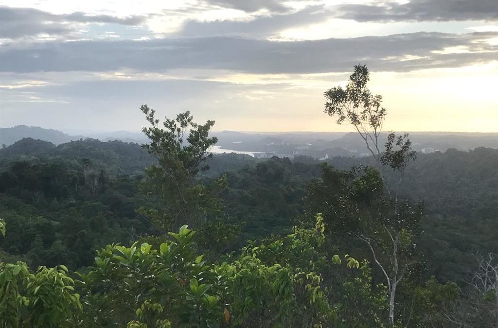 Brunei, a Walk with a View